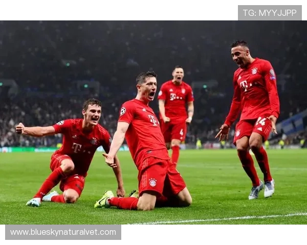 v体育手机网址开启全新体育直播体验，随时随地畅享精彩赛事内容