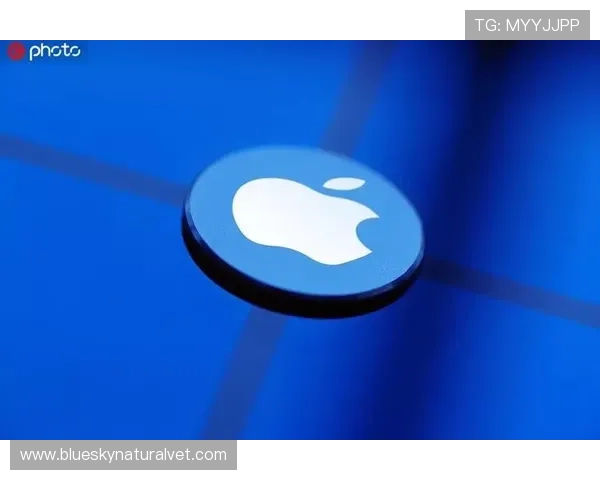 乐鱼手机网址安全可靠保障用户隐私，打造放心的在线娱乐新平台