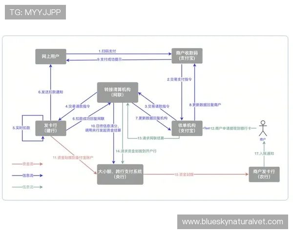 678体育直营平台支持多种支付方式确保资金快速到账的操作指南