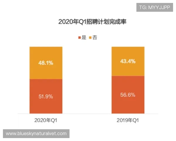 bet韦德用户评价真实玩家体验分享帮助你全面了解平台优缺点