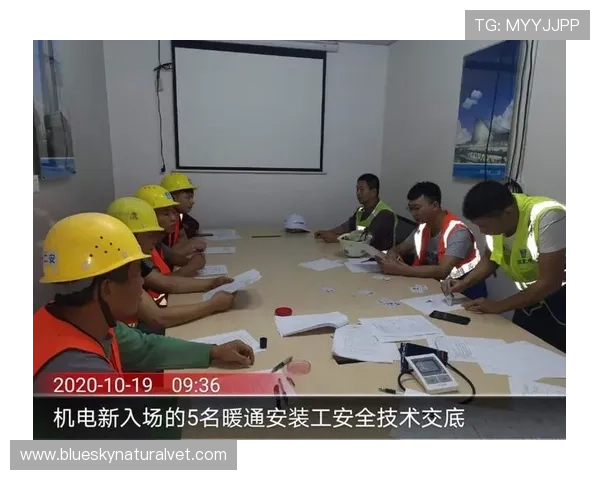 兴发体育用户指南：注册流程、账户安全与常见问题解答