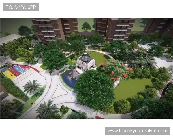 半岛体育入口官方推荐的登录流程及注意事项保障顺畅体验