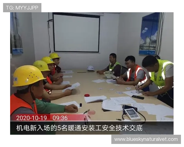 多米体育网页版安全稳定，保障用户个人信息和账户安全，打造值得信赖的体育娱乐平台