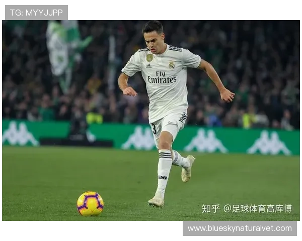 库博体育主页常见问题解答汇总解决用户在使用过程中遇到的各种疑难问题