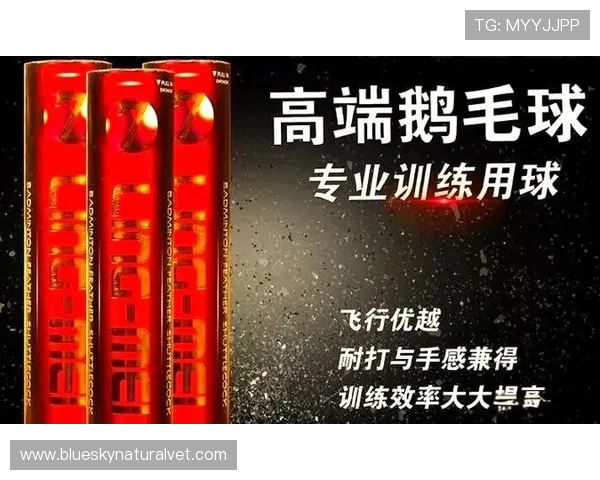 球速体育官网注册入口最新指南确保用户顺利完成账号注册