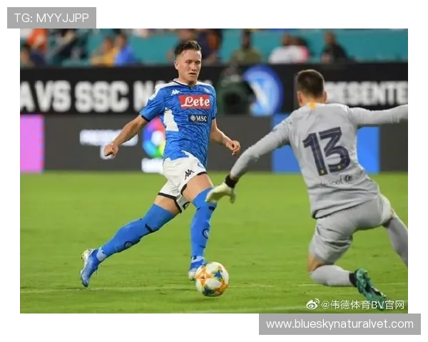 BV体育用户评价与反馈真实体验分享帮助新手选择最适合的体育平台