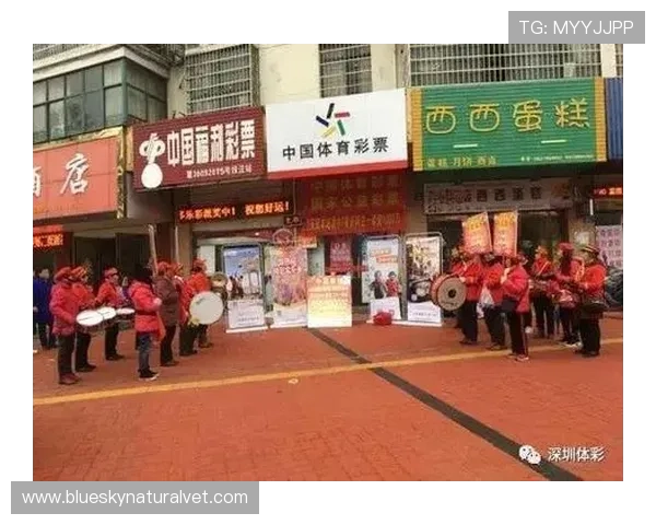 七星体育登录线路稳定性提升方案与常见问题解决指南