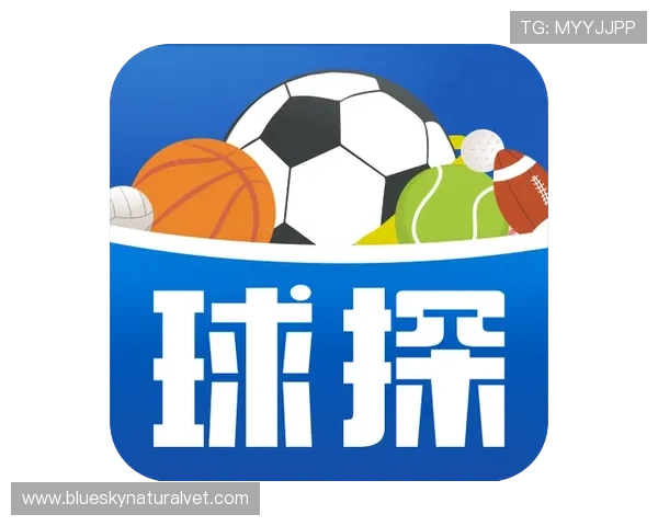 球探网篮球即时比分比赛直播与回放，满足不同用户的观看需求