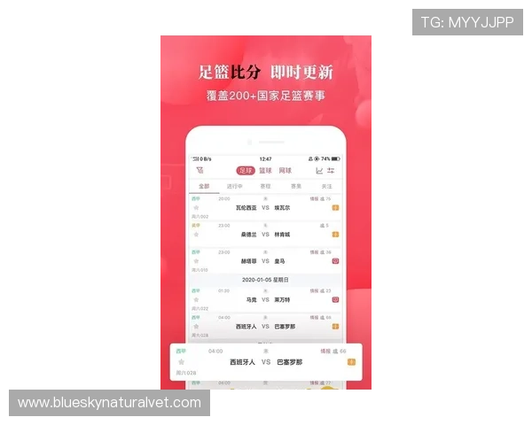 网易体育网站app支持多设备同步使用让你随时随地掌握体育动态