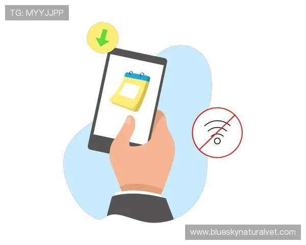 问鼎官网登录流程详解，详细步骤让你轻松完成账号登录与管理