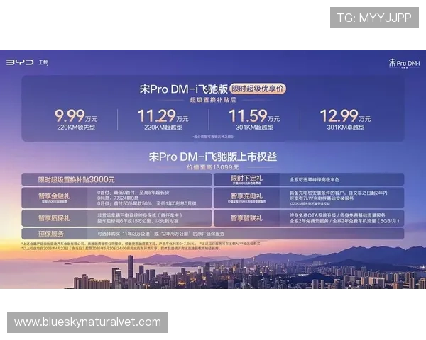 飞驰在线官网正式上线引领汽车行业数字化转型新潮流