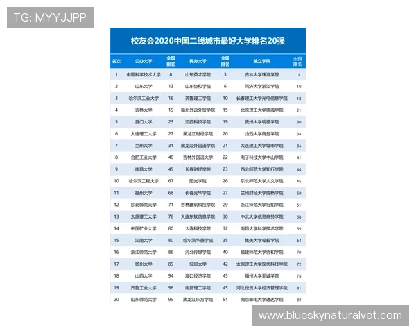 2026年国内买球平台排行榜前十名，用户口碑最佳的正规投注平台推荐指南