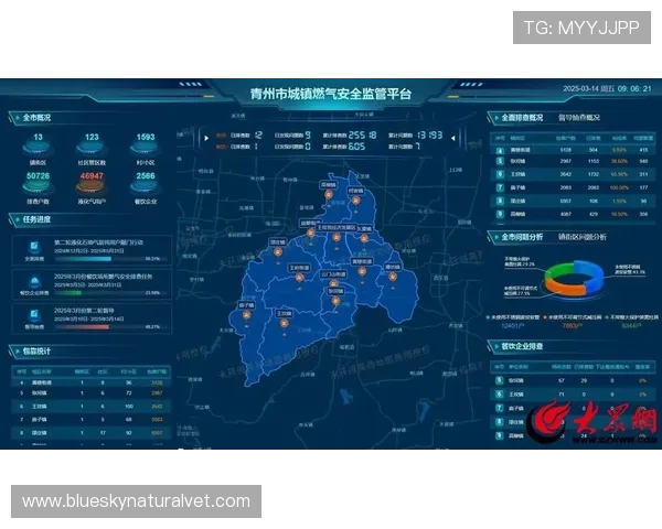 国内买球的正规网站有哪些最新资讯，合法平台的安全保障与操作指南