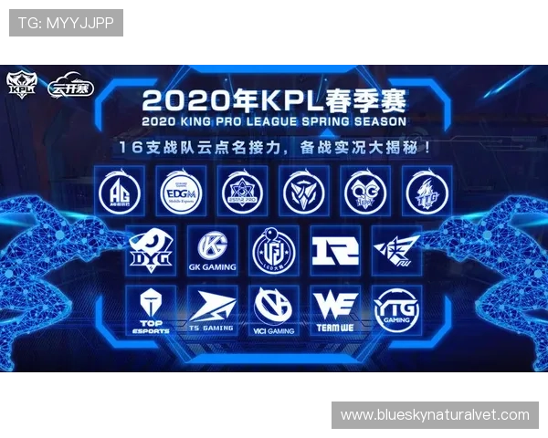 中国体育网官方网站app赛事直播和视频回放功能详解，满足用户随时随地观看体育赛事的需求