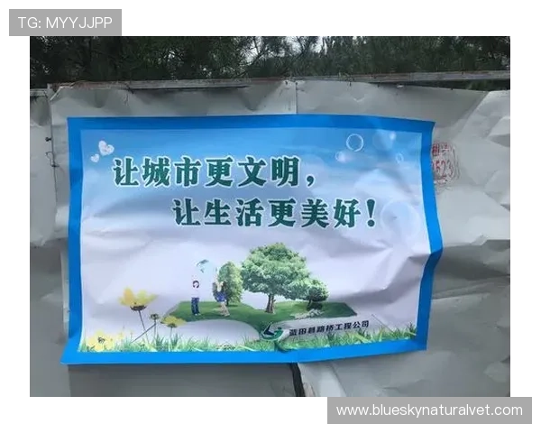 体育运动场文明标语如何结合场地特色打造具有吸引力的宣传内容
