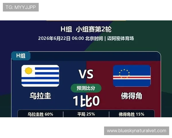 世界杯乌拉圭对佛得角比分直播：最新比赛实时数据与赛况分析