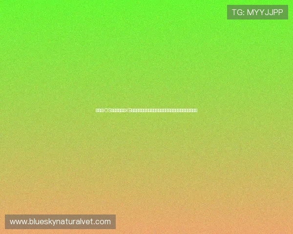 解决在iOS设备上遇到的KB体育应用无法安装或更新的问题，提供实用的排查与解决方案