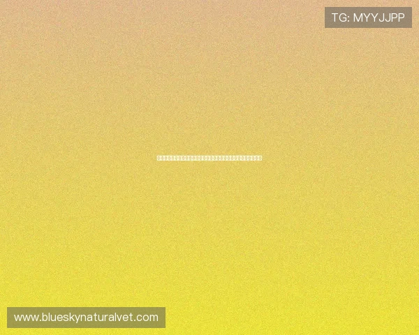 真人视讯开户流程详解及安全保障措施确保你的资金与个人信息安全